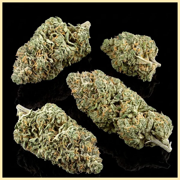 Skunk Autoflower Seeds additional image 2