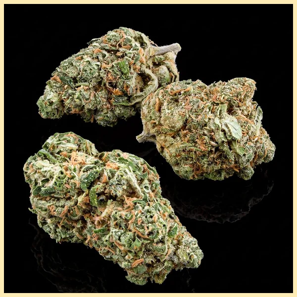 Skunk Fast Version Feminized Seeds additional image 2