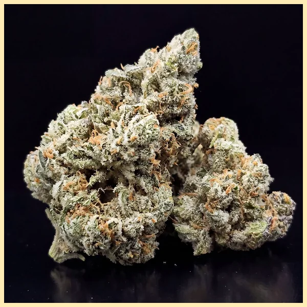 Slice O' Lime OG Autoflower Seeds additional image 3