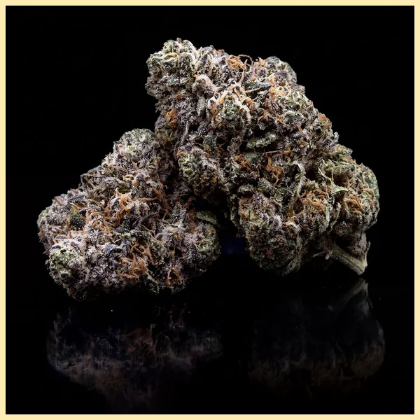 Snickerdoodle Feminized Seeds additional image 3