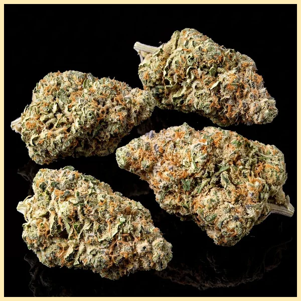 Somango Autoflower Seeds additional image 2