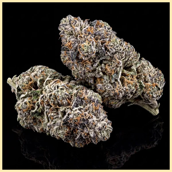 Sugar Black Rose Feminized Seeds additional image 2