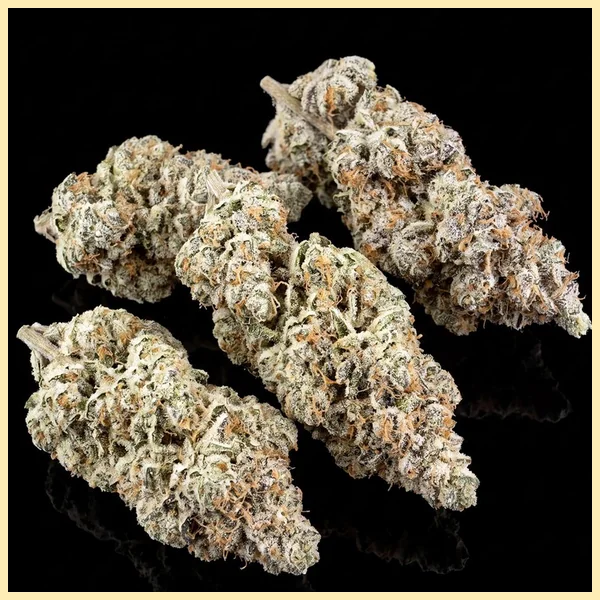 Super Boof Feminized Seeds additional image 2