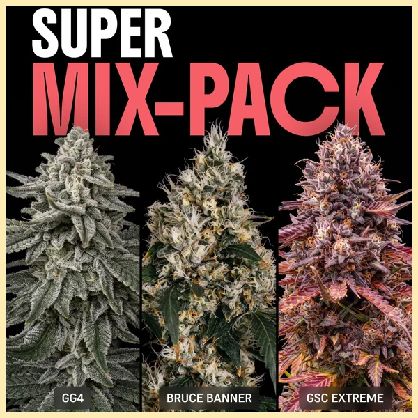 Super Mix Pack Weed Seeds featured image