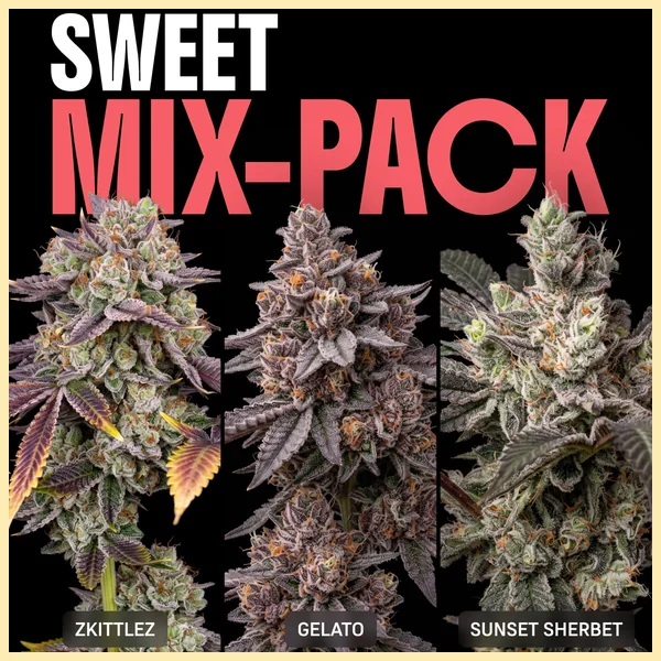 Sweet Mix Pack Weed Seeds featured image