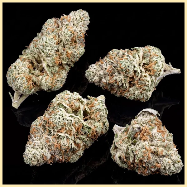 Tangie Feminized Seeds additional image 2