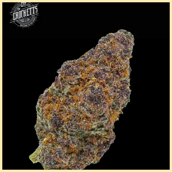 Tangie Queen Feminized Seeds additional image 2