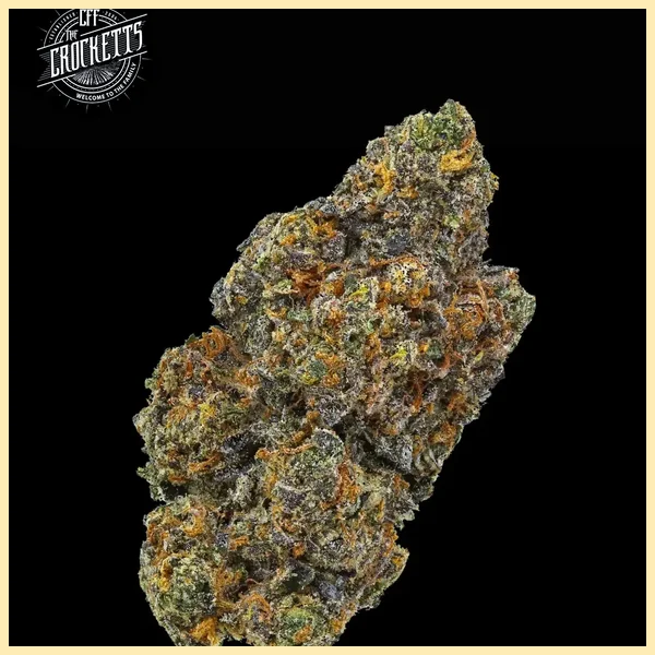 Tangie Queen Feminized Seeds additional image 3