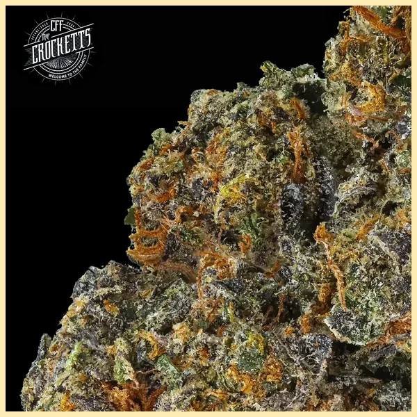 Tangie Queen Feminized Seeds additional image 1