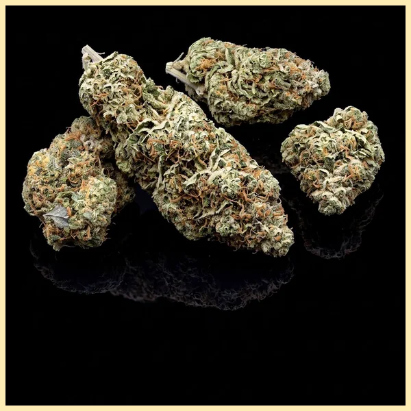 Triple XL Autoflower Seeds additional image 2