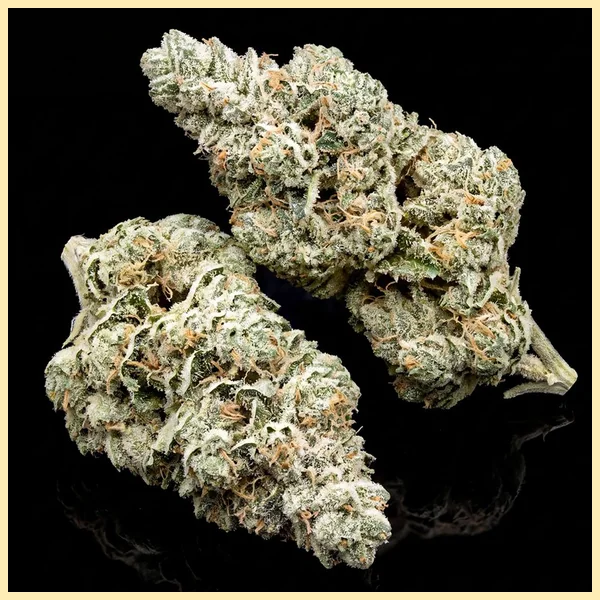 True OG Feminized Seeds additional image 2