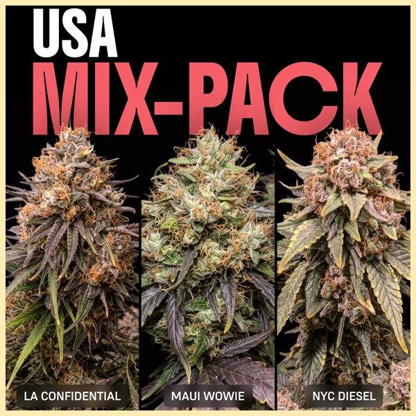 USA Mix Pack Weed Seeds featured image
