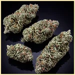 Afghan Kush x Super Skunk Feminized Seeds additional image 2