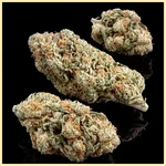 Afghan Feminized Seeds additional image 2