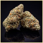 Agent Orange Feminized Seeds additional image 2