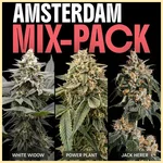 Amsterdam Mix Pack Weed Seeds featured image