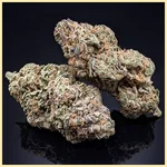 Animal Runtz Feminized Seeds additional image 2