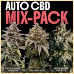 Autoflower CBD Mix Pack Seeds featured image
