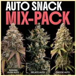 Autoflower Snack Mix Pack Seeds featured image