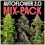 Autoflower 2.0 Mix Pack Seeds featured image