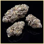 Banana Runtz Feminized Seeds additional image 3