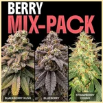 Berry Mix Pack Weed Seeds featured image