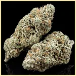 Big Bud Fast Version Feminized Seeds additional image 1