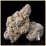 Big Devil Autoflower Seeds additional image 2