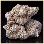 Biscotti Feminized Seeds additional image 2