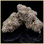 Black Diamond Feminized Seeds additional image 2