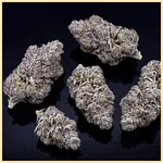 Black Frost Feminized Seeds additional image 2