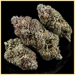 Blue Amnesia Autoflower Seeds additional image 2