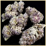 Blue Cookies Feminized Seeds additional image 2