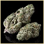 Blue Widow Feminized Seeds additional image 2