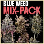 Blue Weed Mix Pack Seeds featured image
