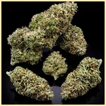 Blueberry x Big Bud Autoflower Seeds additional image 2