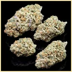 Blueberry x Lemon Haze Autoflower Seeds additional image 2