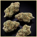 Blueberry x Mazar Autoflower Seeds additional image 2