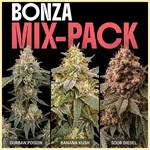 Bonza Seeds Mix Pack featured image