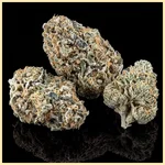 Bruce Banner Fast Version Feminized Seeds additional image 2