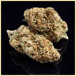 Bubble Gum Shoe Feminized Seeds additional image 2