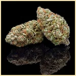 Bubblegum Feminized Seeds additional image 2