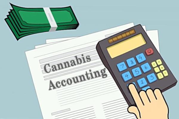cannabis accounting illustrative image
