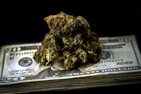 Cannabis Business Fundraising - How to Raise Money Guide