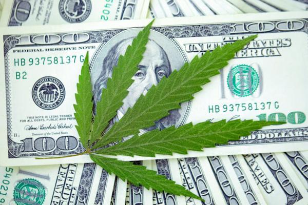 cannabis leaf on 100 dollar bills USD