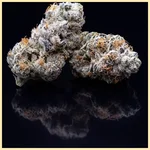 Cap Junky Feminized Seeds additional image 3