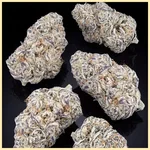 Cereal Milk Feminized Seeds additional image 2