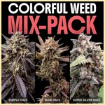 Colorful Weed Mix Pack Seeds featured image
