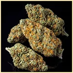 Critical Autoflower Seeds additional image 2