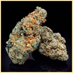 Critical Jack Feminized Seeds additional image 2